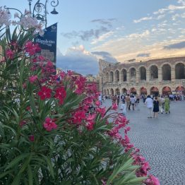 Piazza Bra - Arena